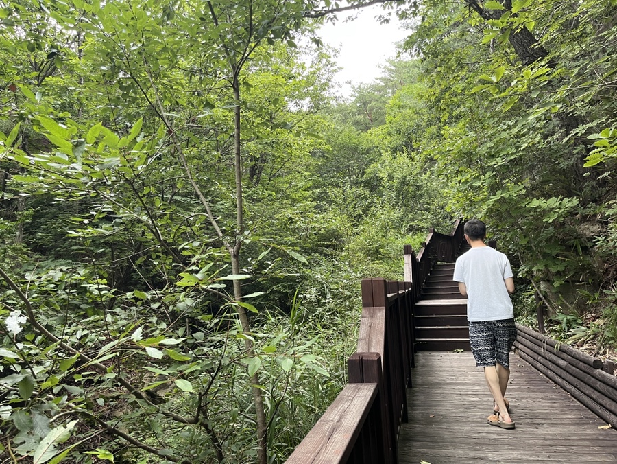 국립황정산자연휴양림 야영장 이미지