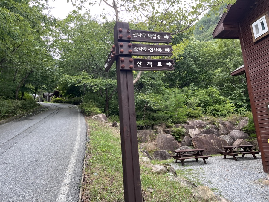 국립황정산자연휴양림 야영장 이미지