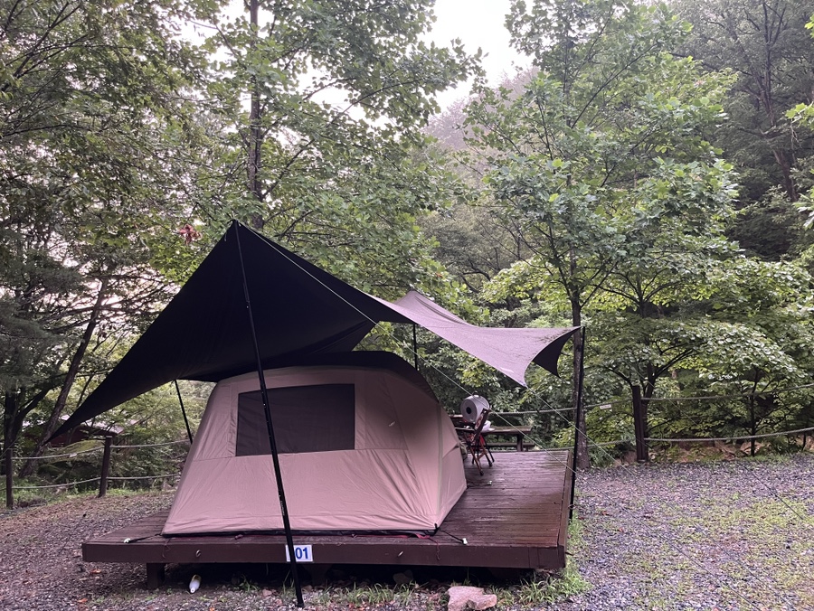 국립황정산자연휴양림 야영장 이미지