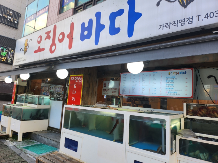 오징어바다 가락직영점 사진 7
