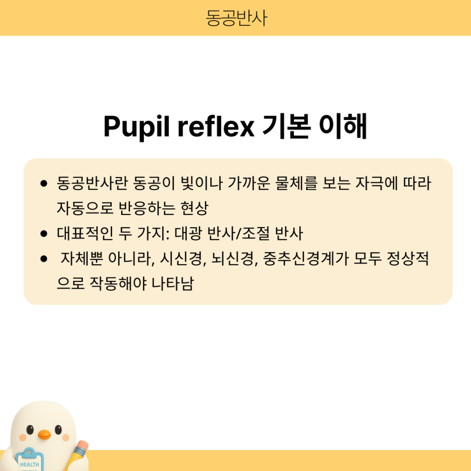 Pupil reflex 뜻 사정 방법:동공반사 반응 해석 : 네이버 블로그