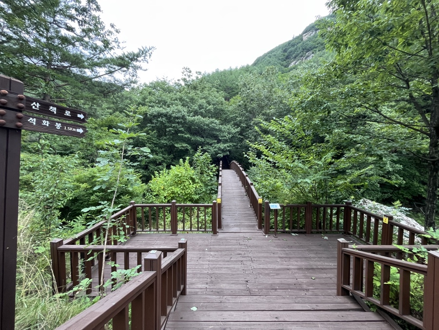 국립황정산자연휴양림 야영장 이미지