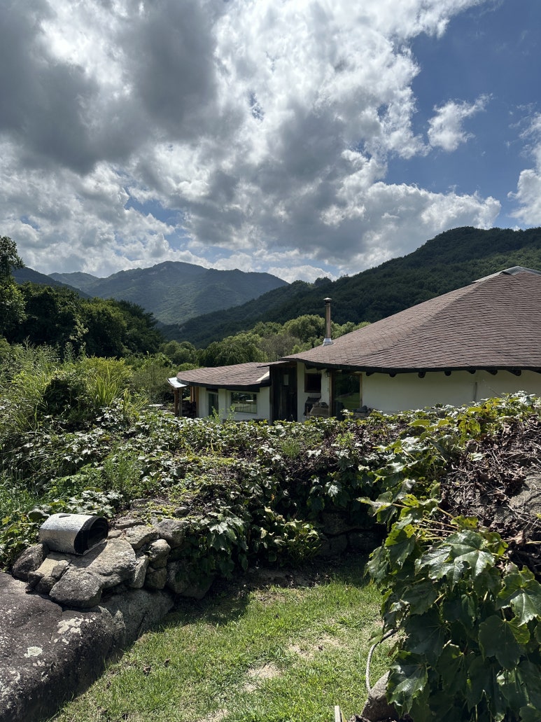 다우리스테이 이미지