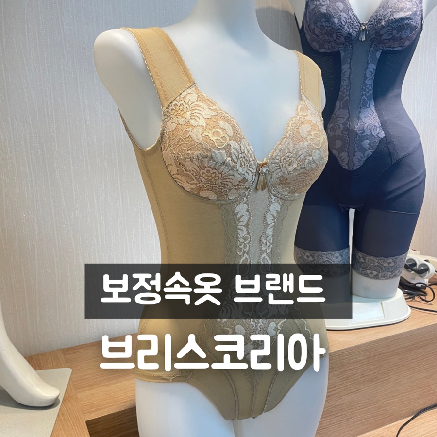 브리스건강기능성속옷 이미지