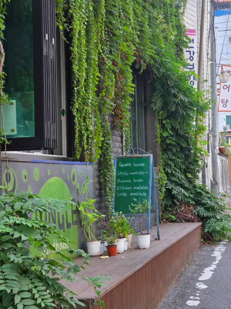 정글게스트하우스 이미지