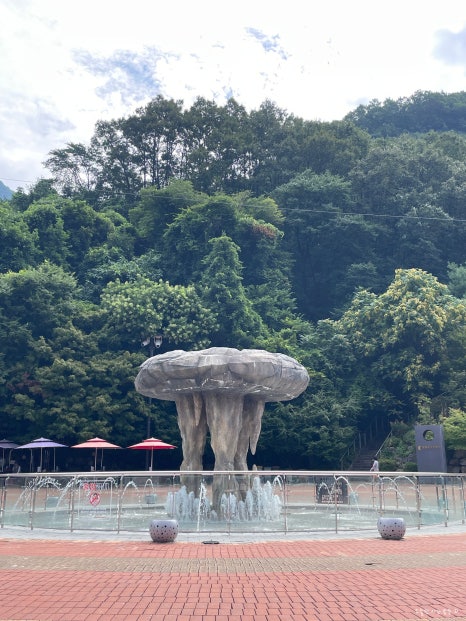 사막여우 로스터리카페 이미지