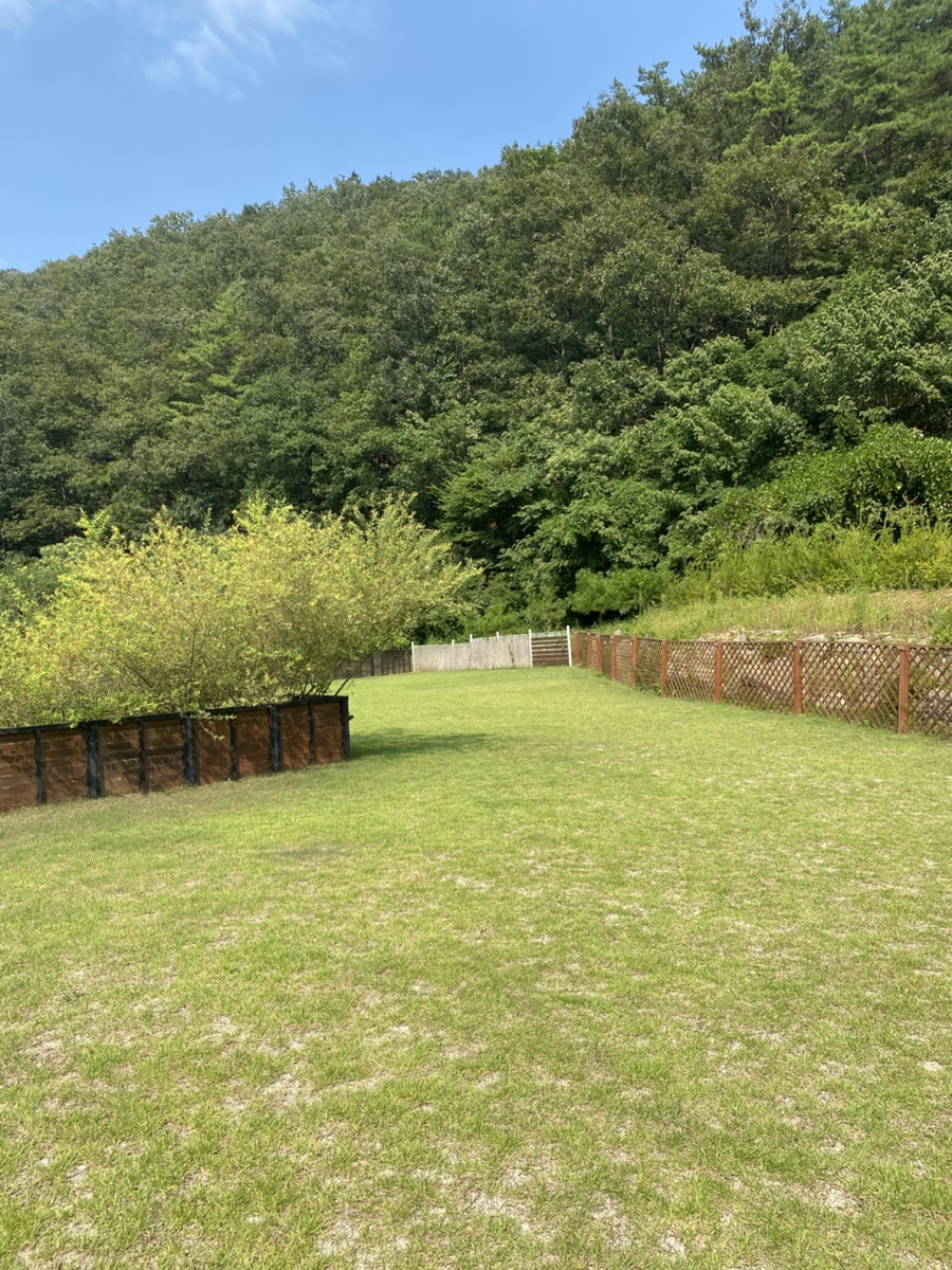 빌라독애견펜션 이미지