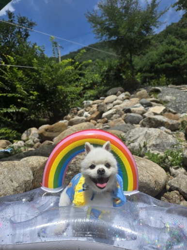 별무리펜션 이미지