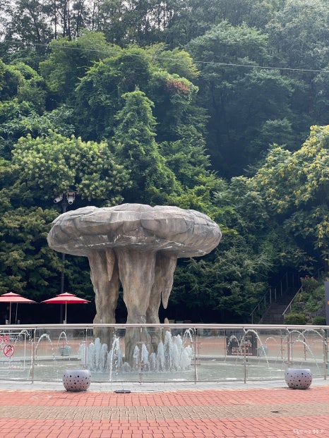 사막여우 로스터리카페 이미지