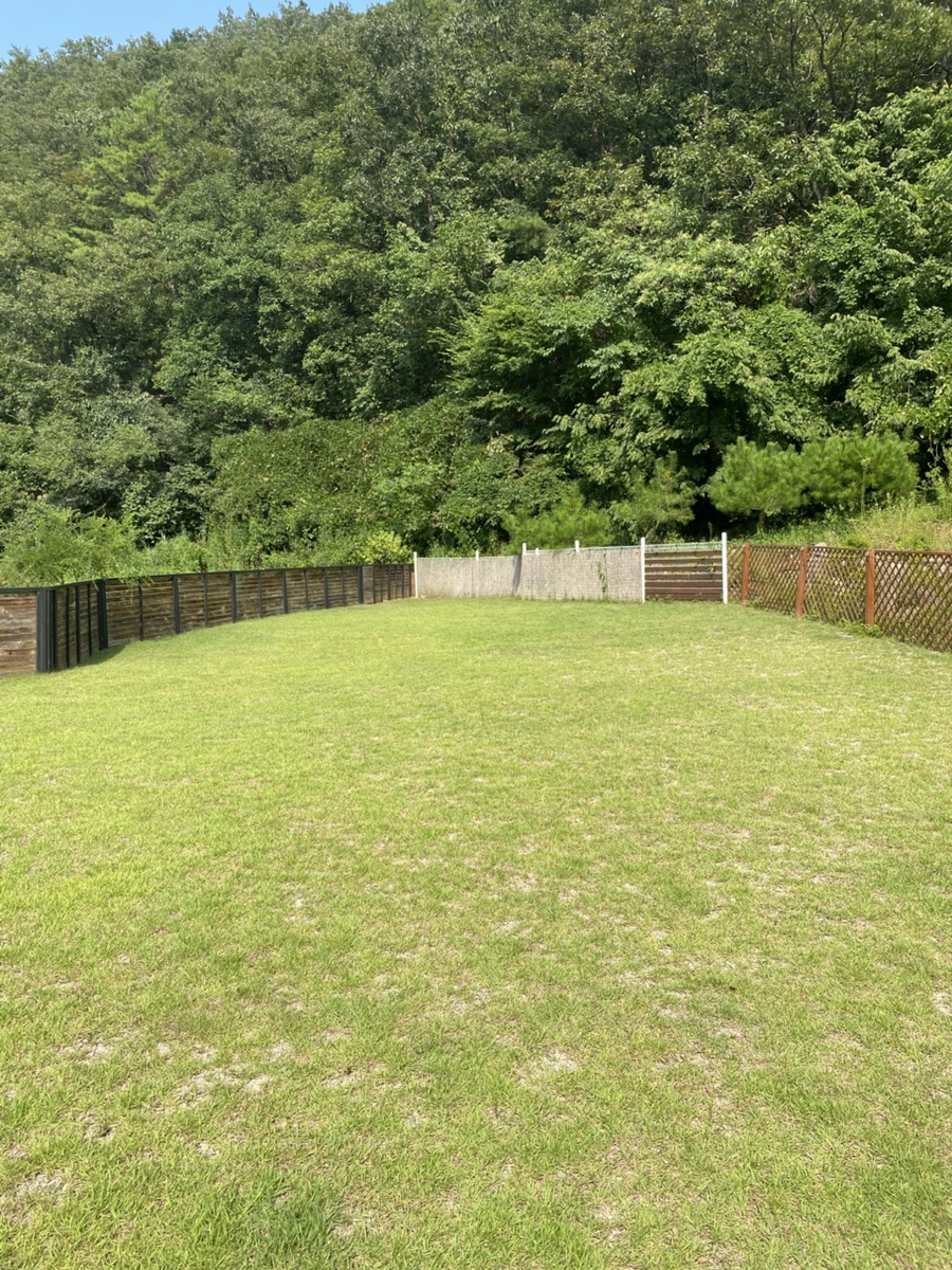 빌라독애견펜션 이미지