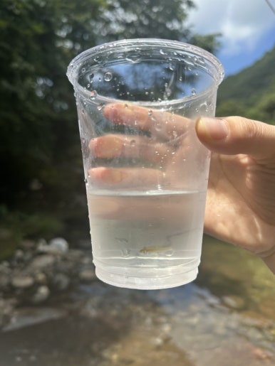 별무리펜션 이미지