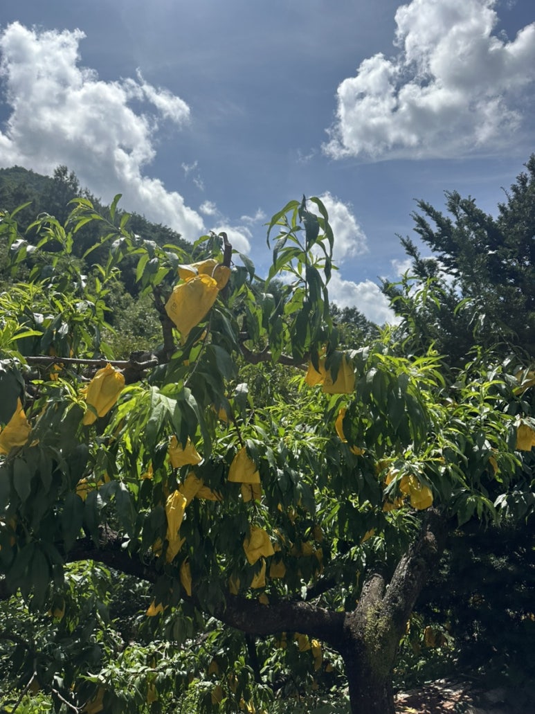 별무리펜션 이미지