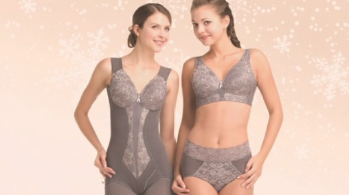 브리스건강기능성속옷 이미지