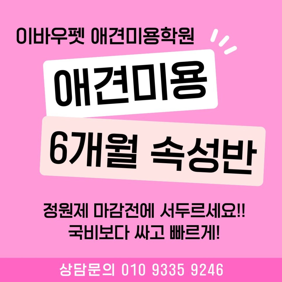 강아지 설사 원인과 대처법: 집에서 할 수 있는 응급 처치 — 사진 9