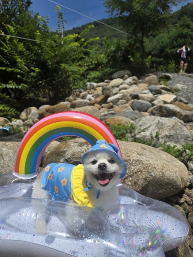 별무리펜션 이미지