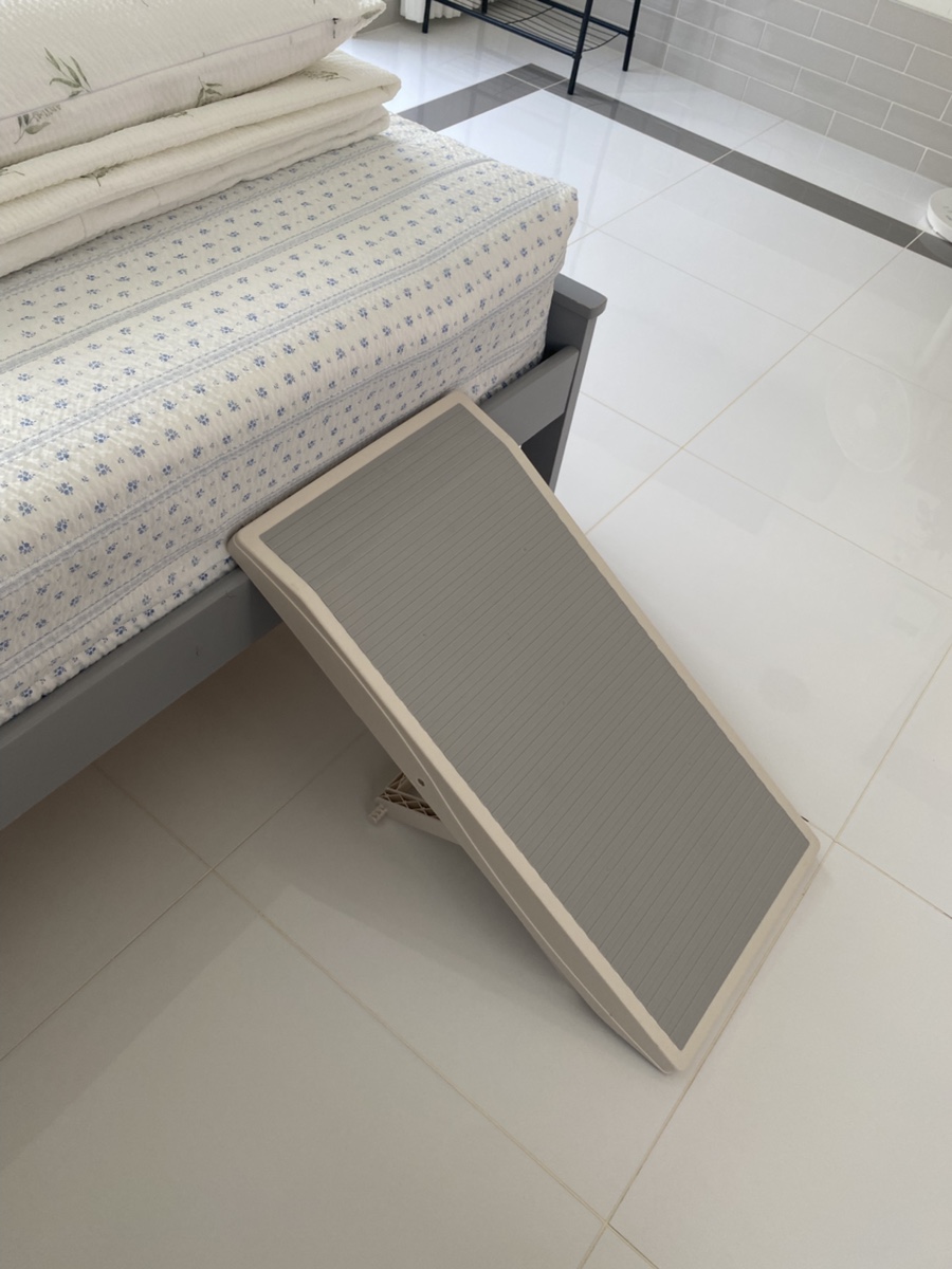 빌라독애견펜션 이미지