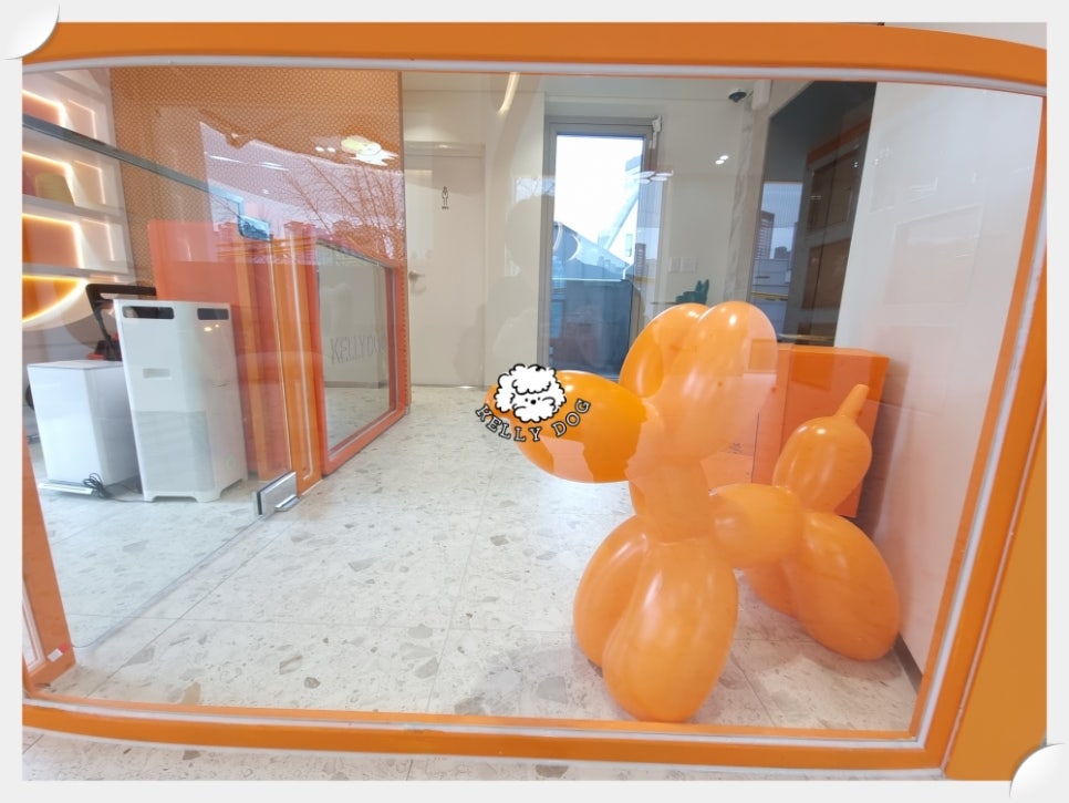 강남 강아지유치원 켈리독, 비용 및 후기 상세 안내 — 사진 5