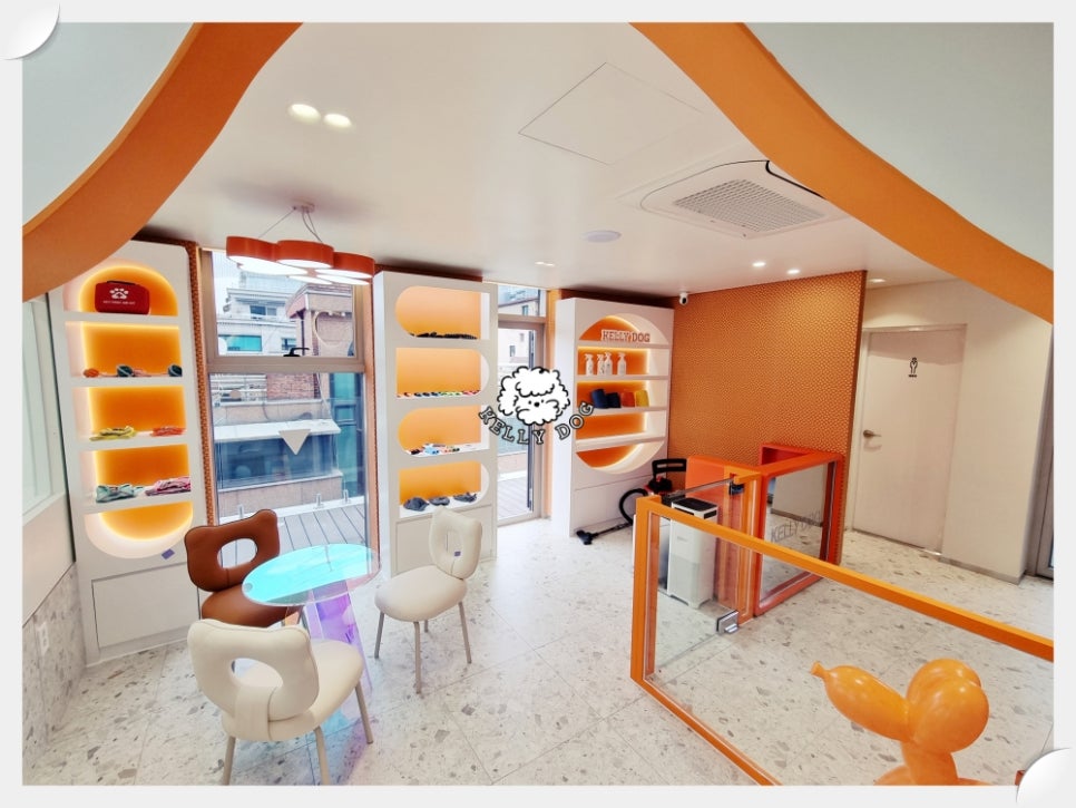 강남 강아지유치원 켈리독, 비용 및 후기 상세 안내 — 사진 4