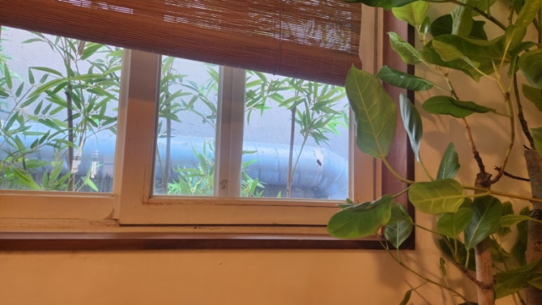 최지훈스시 이미지