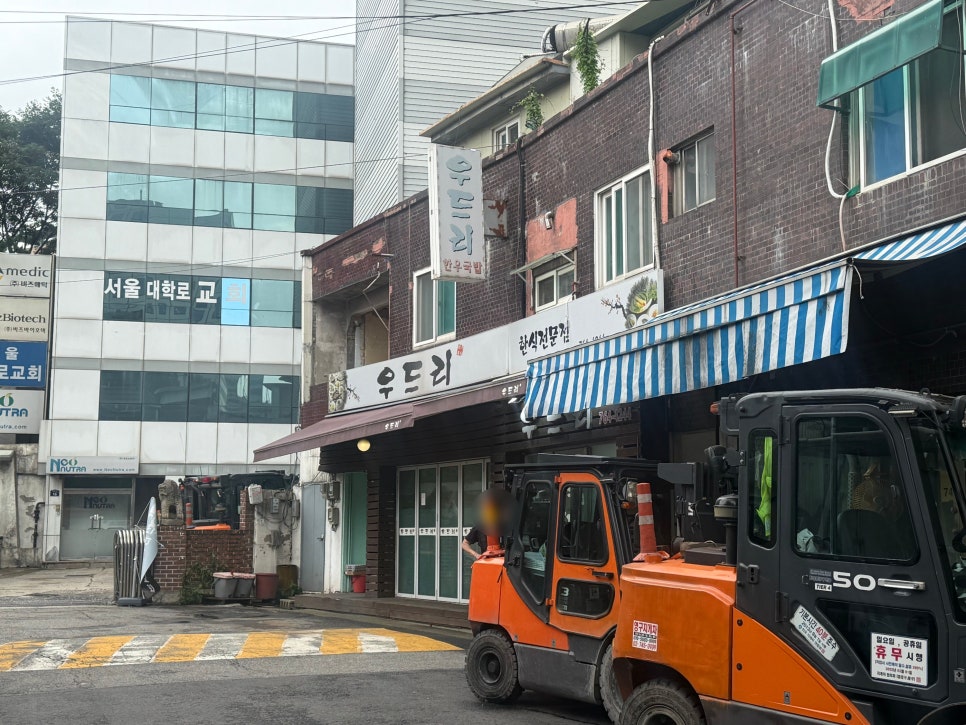 우드리 사진 6