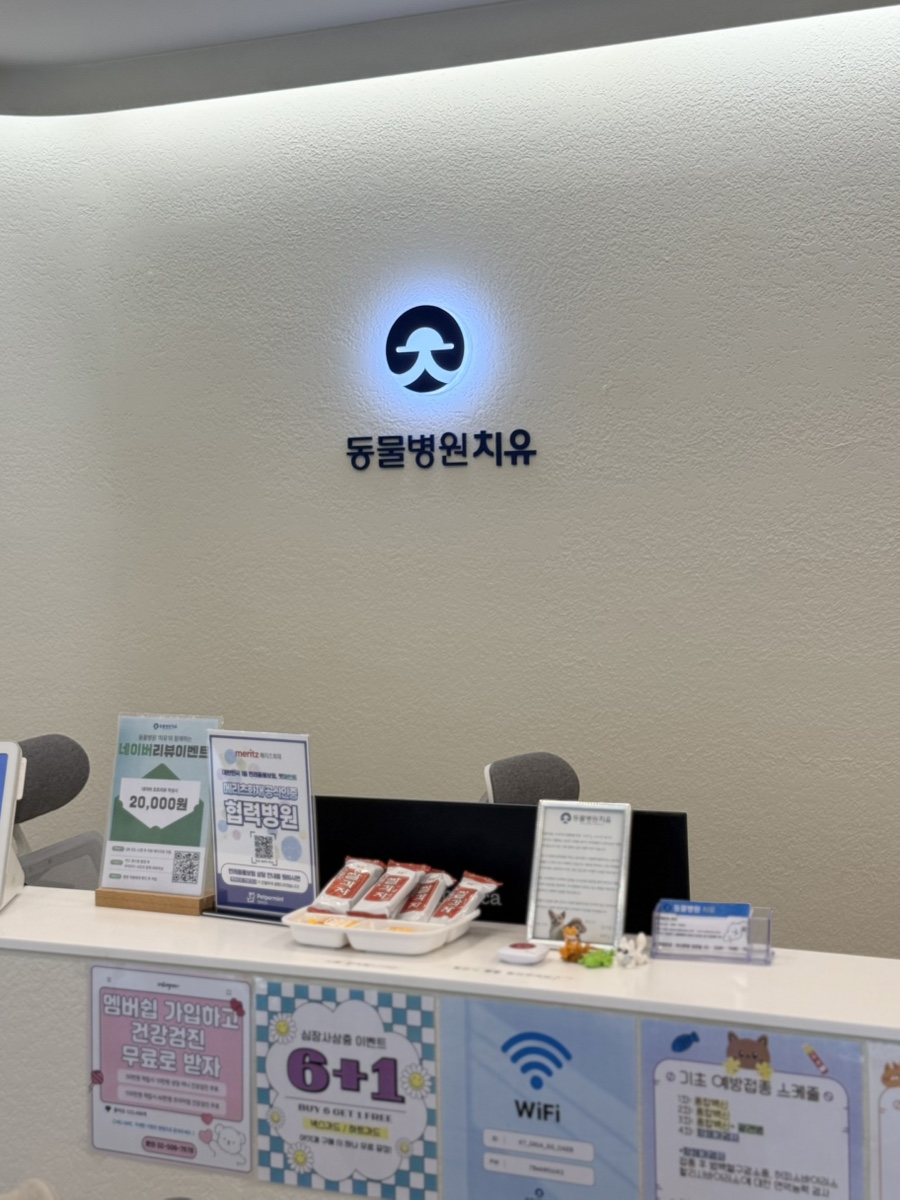 8살 강아지 건강검진, 강남 도곡치유 24시 동물병원 비용 및 후기 — 사진 3