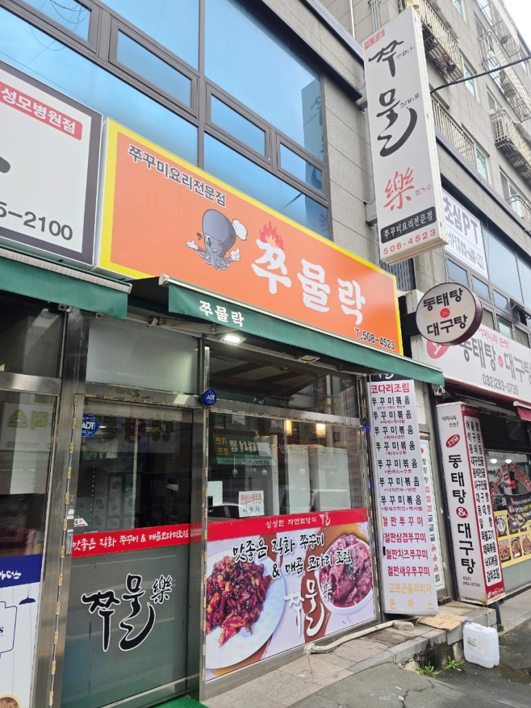 쭈물락 사진 5