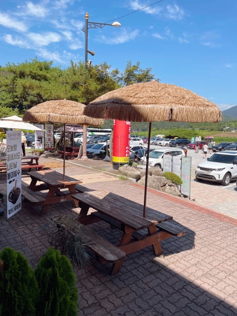 삼봉이네카페 이미지