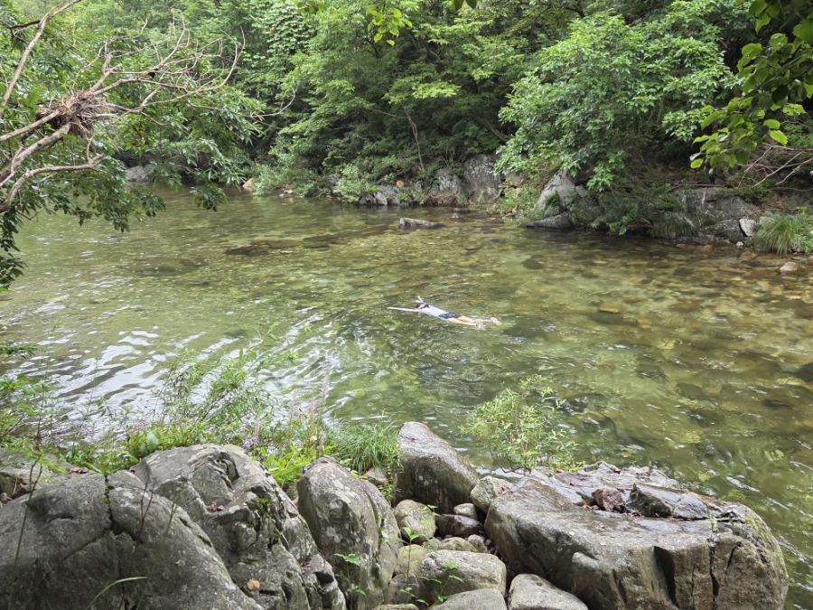 소풍캠핑장 이미지