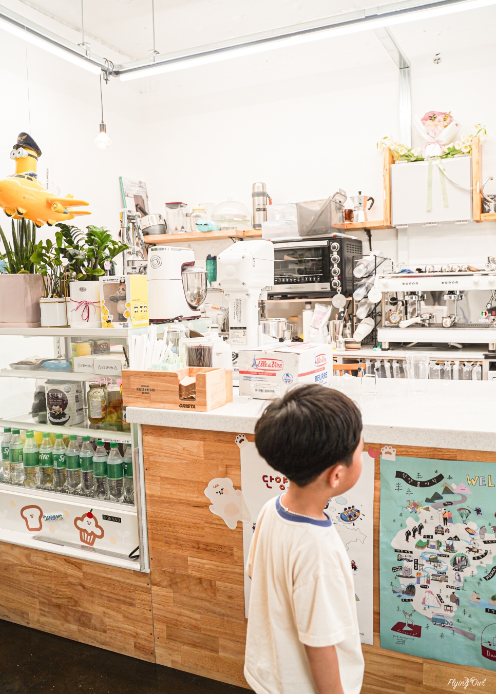 도전리549 이미지