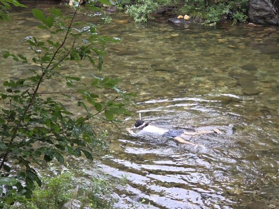 소풍캠핑장 이미지