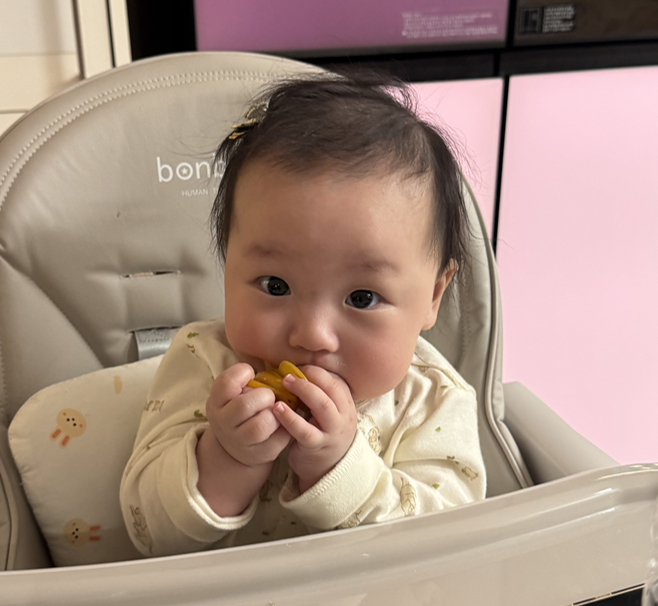꿀꿀흑돼지 사진 2