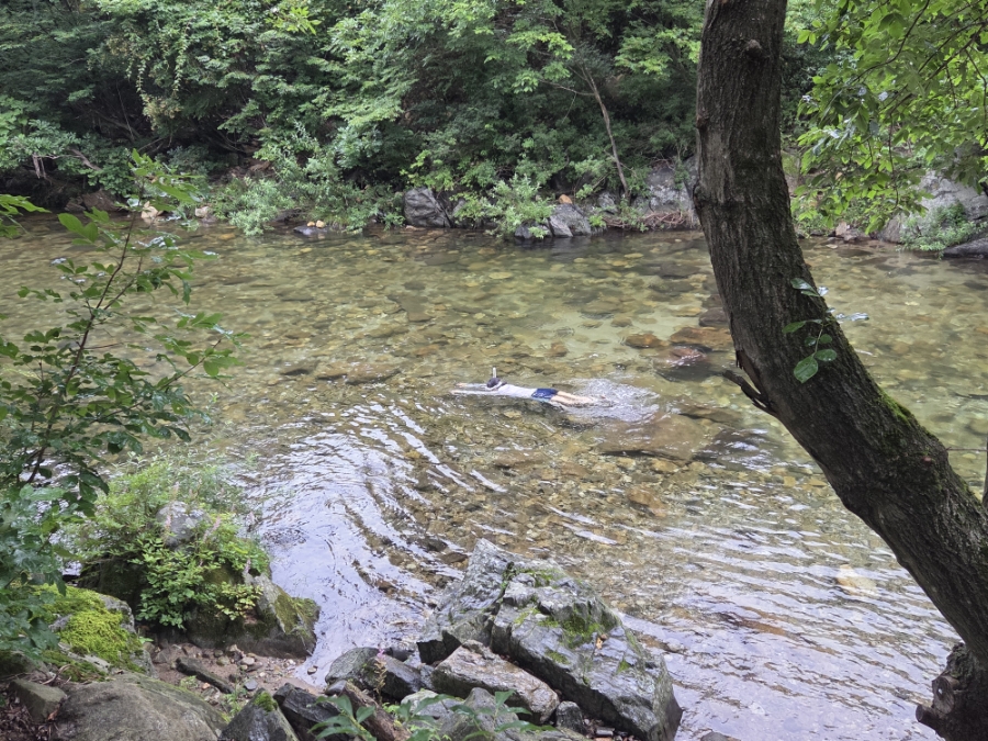 소풍캠핑장 이미지