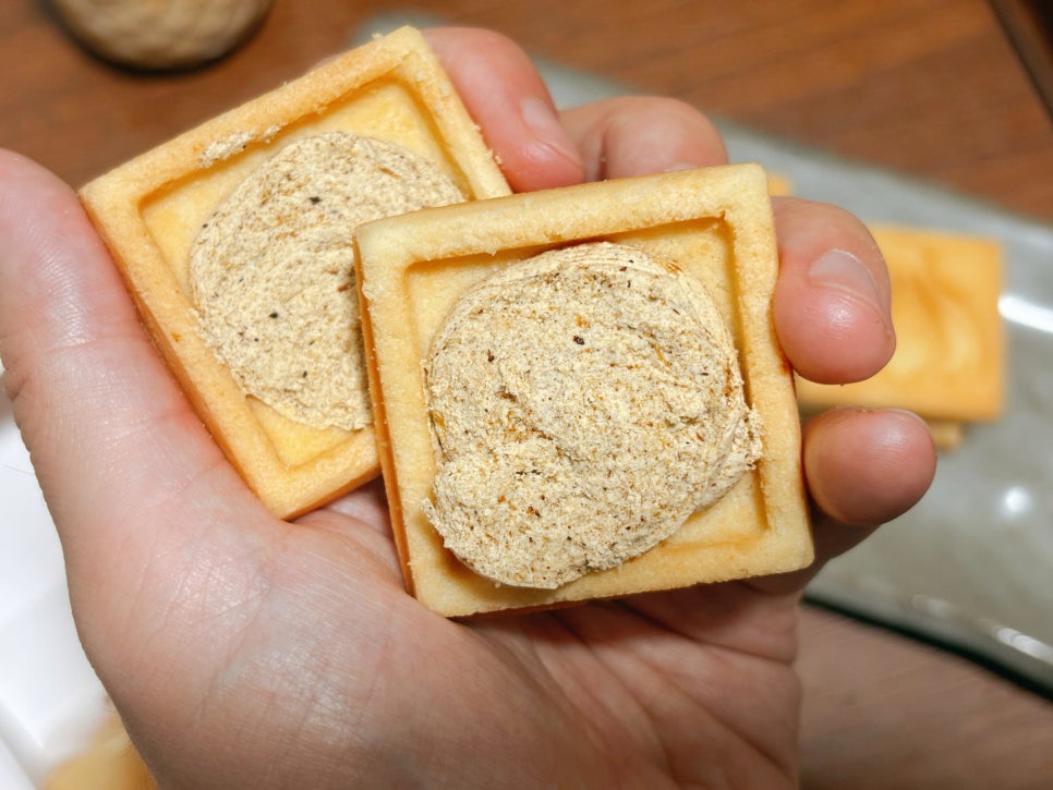 도전리549 이미지