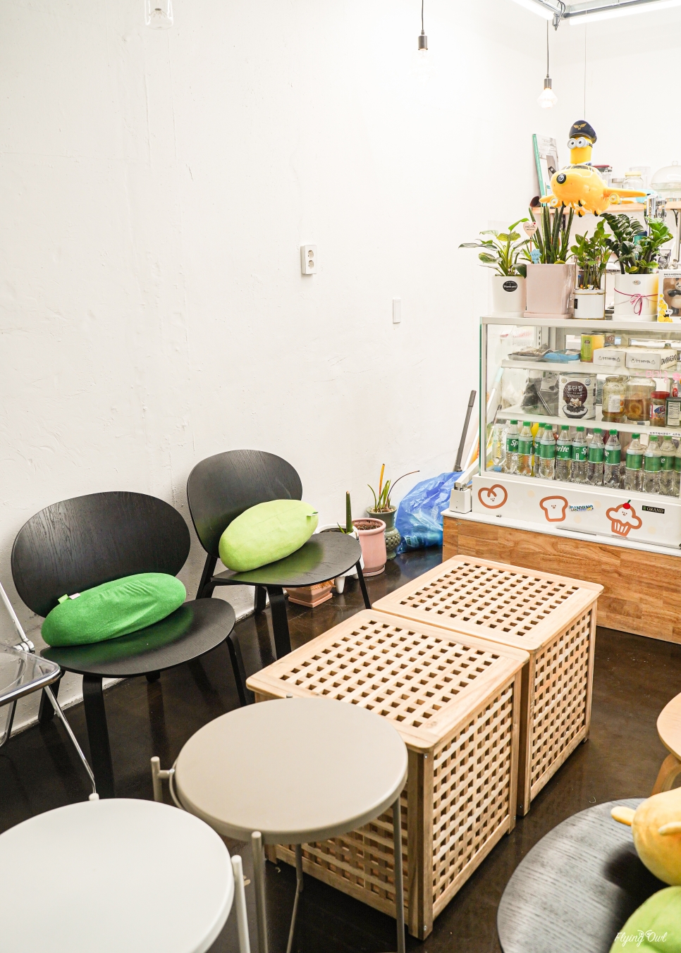 도전리549 이미지