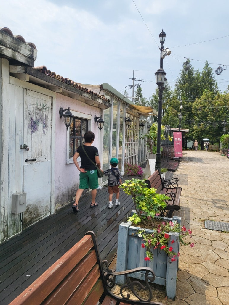 파주프로방스마을 : 네이버 블로그