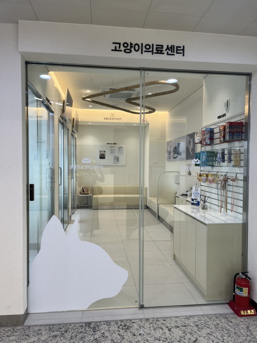 영등포 24시 동물병원, 슬개골 수술 후 검사 비용 및 회복 후기 — 사진 4