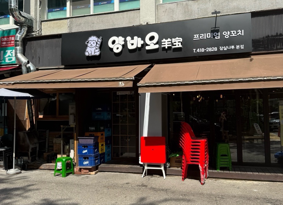 양바오 대표 사진
