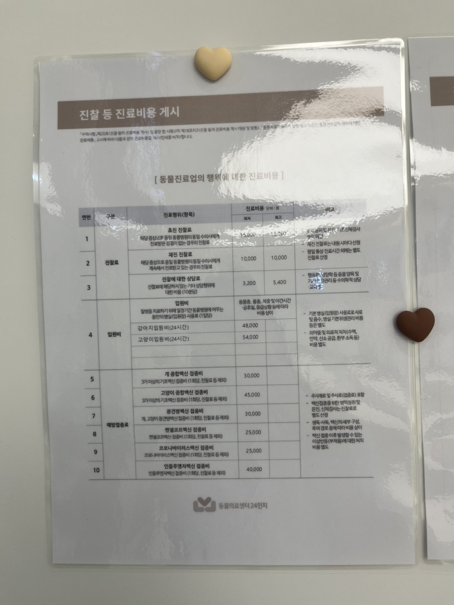 영등포 24시 동물병원, 슬개골 수술 후 검사 비용 및 회복 후기 — 사진 10