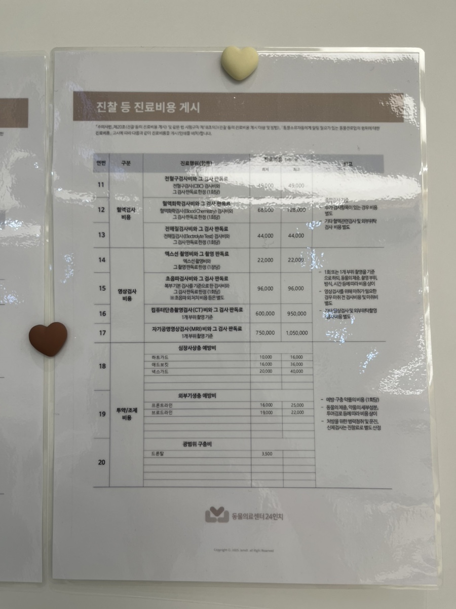 영등포 24시 동물병원, 슬개골 수술 후 검사 비용 및 회복 후기 — 사진 11
