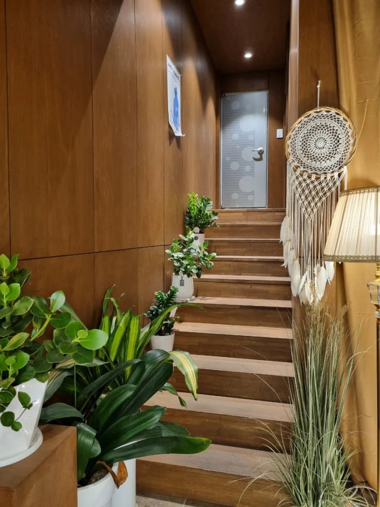 샌디크펍 이미지