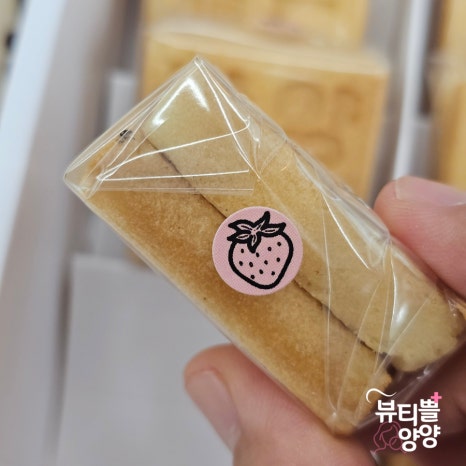 도전리549 이미지