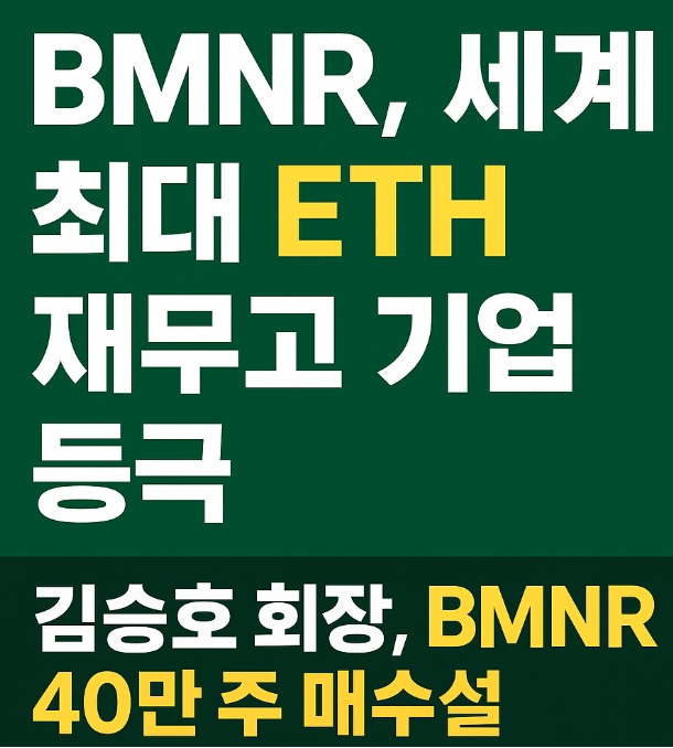 비트마인 이머전 테크놀로지스(BMNR), 세계 1위 ETH 재무고 기업의 정체 : 네이버 블로그