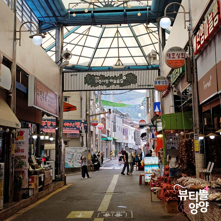 도전리549 이미지