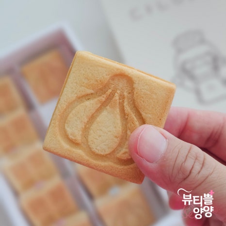 도전리549 이미지