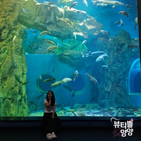 도전리549 이미지