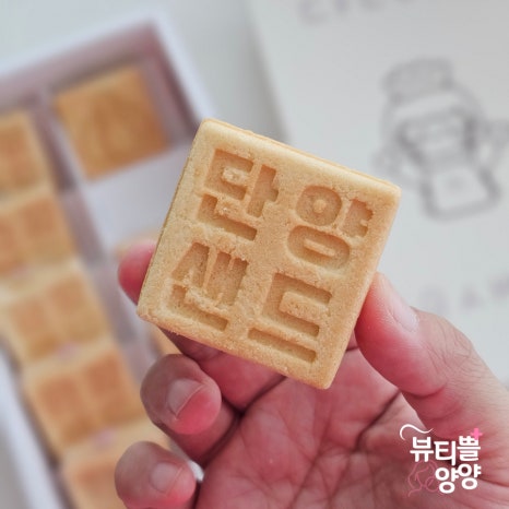 도전리549 이미지