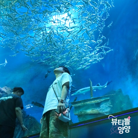 도전리549 이미지