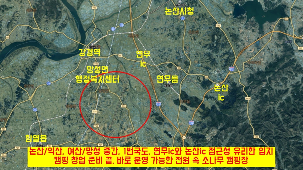 소나무 캠핑장 사진 2