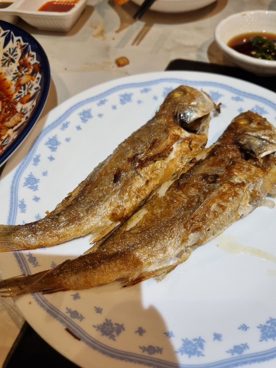분당아나고 사진 6