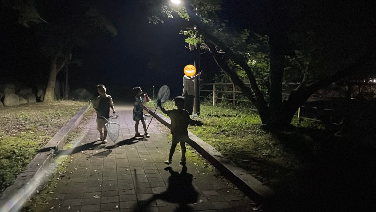 단양남천캠핑장 이미지